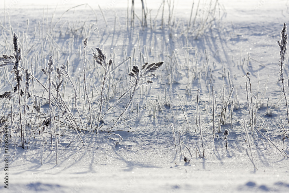 custom made wallpaper toronto digital凍てついた冬の風景