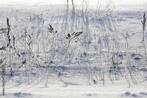 Wallpaper Mural 凍てついた冬の風景 Torontodigital.ca