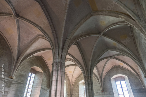 Papal palace in Avignon, France