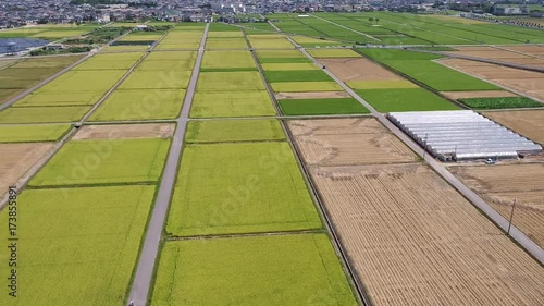 Wallpaper Mural 日本の田園をドローンで空撮④ Torontodigital.ca