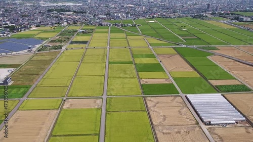 Wallpaper Mural 日本の田園をドローンで空撮① Torontodigital.ca