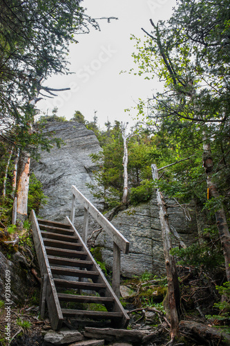 stairway in a hiking trail in mont sutton