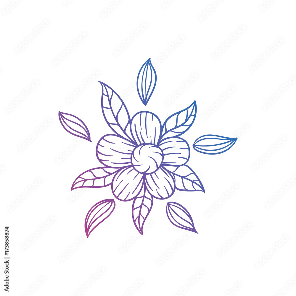 flower floral illustration