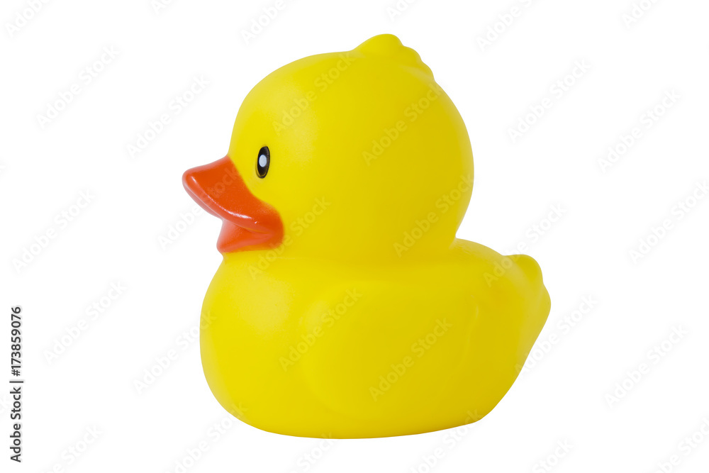 rubber duck on White Background rubber duck on White Background