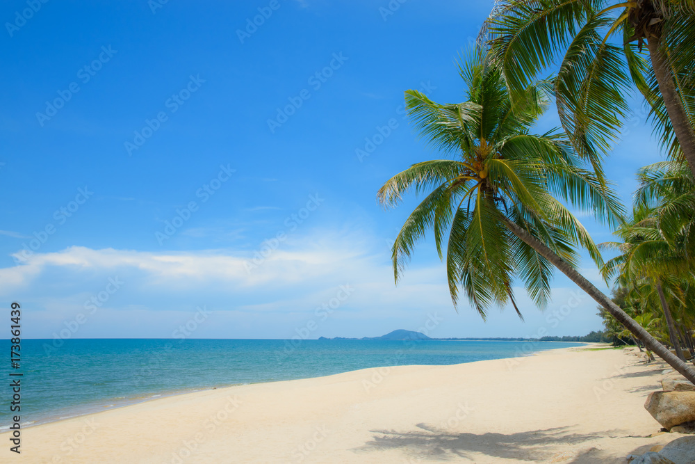 Beautiful view of coconut palm trees on tropical beach and blue sky background