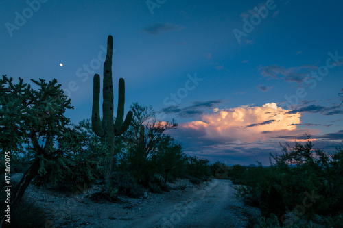 Evening descends on the end of an active monsoon day in the Sonoran Desert.