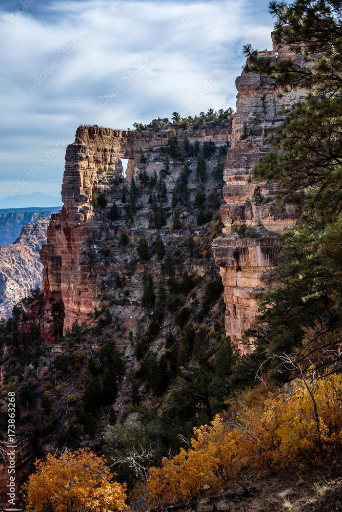 Angel's Point at Cape Royal on the North Rim of the Grand Canyon framed in yellow seasonal foliage.