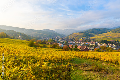 Village of Barr in Vineyard landscape in region Alsace, France photo