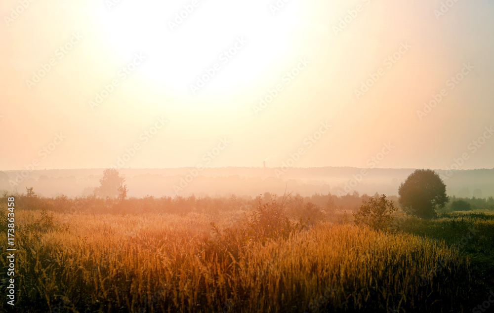 Obraz premium Photo of a bright beautiful misty sunrise