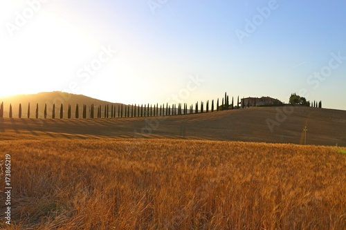 Countryside landscape around Pienza Tuscany in Italy, Europe photo