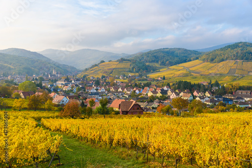 Village of Barr in Vineyard landscape in region Alsace, France photo