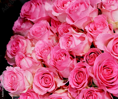 Bouquet flower background of pink rose 