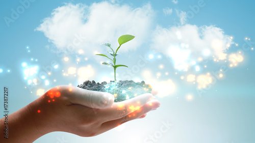 Hand holding green plant growing . Environmentally friendly concept