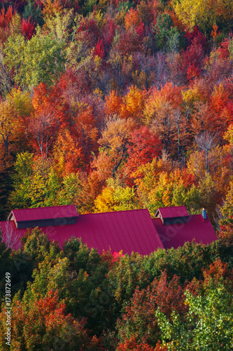 colorful canadian forest with red roof farm