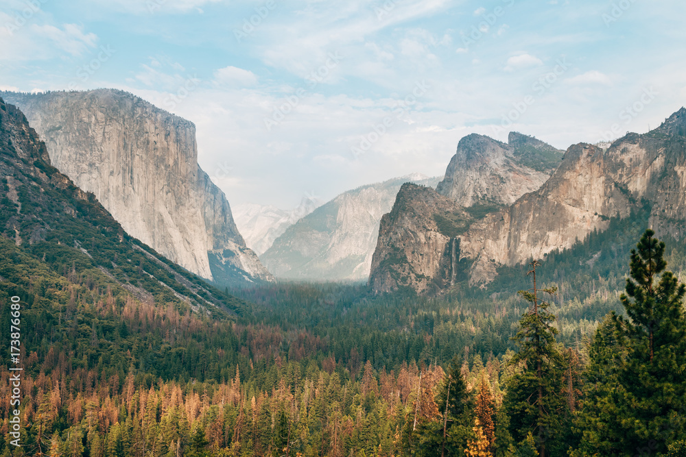 amazing view of yosemite valley with el capitan mountain at background