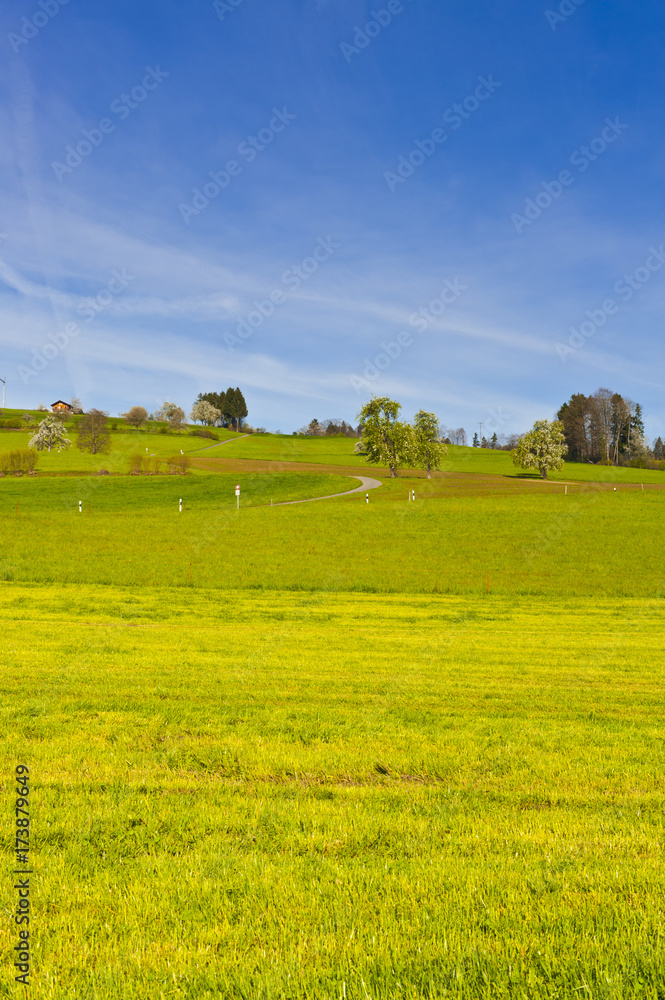 Pastures in Switzerland