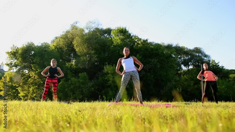group stretching workout, large group stretches outdoor on a green grass in park group stretching workout, large group stretches outdoor on a green grass in park