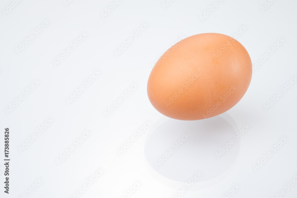 Close up of an egg isolated Close up of an egg isolated