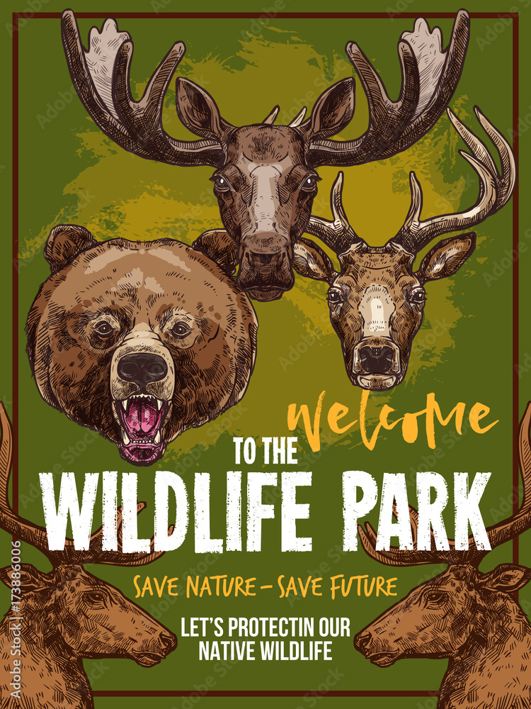 Wild animals vector zoo sketch wildlife poster Stock Vector | Adobe Stock Wild animals vector zoo sketch wildlife poster Stock Vector | Adobe Stock