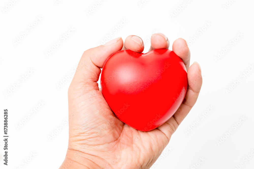 Red heart in the hand. Isolated on white background. Studio lighting.