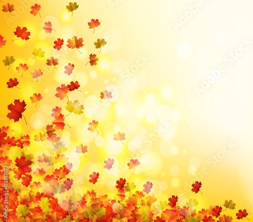 Autumn leaves background