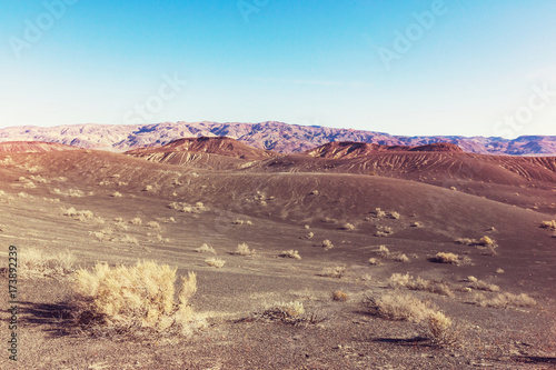 Nevada landscapes