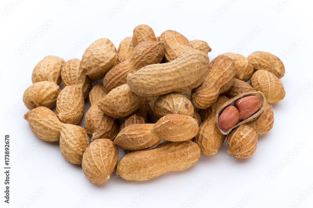 Dried peanuts on the white background. Dried peanuts on the white background.