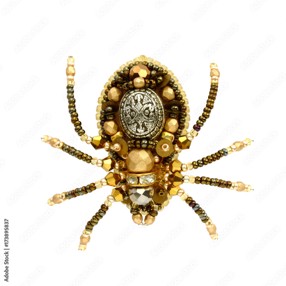 Fototapeta premium Golden royal spider brooch. Isolated