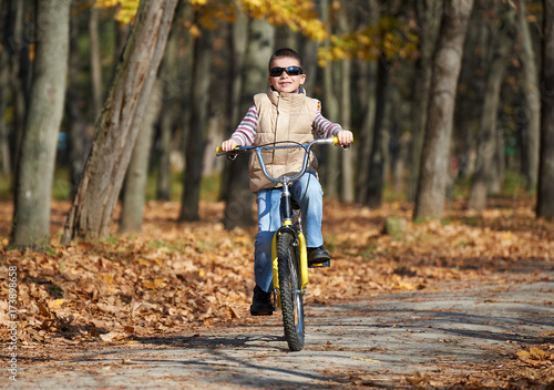 boy riding on Bicycle in autumn Park, bright sunny day, fallen leaves on background © soleg