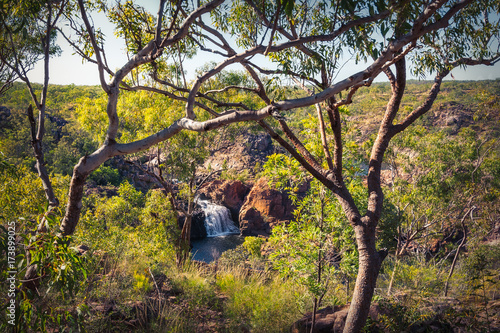 Edith Falls framed between trees, Nitmiluk National Park, Katherine, Australia photo