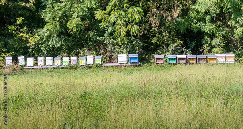 Colourful beehive boxes