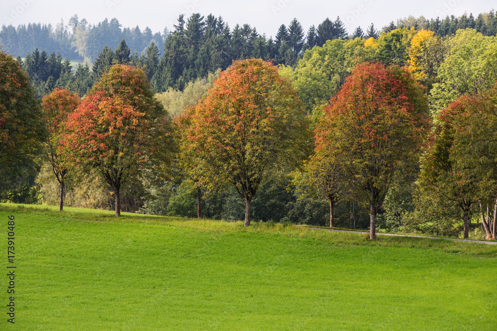Herbststimmung Herbststimmung