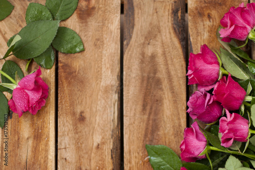 fresh roses with foliage on a wooden background