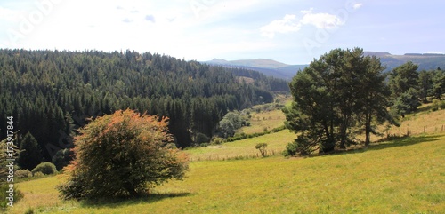 haute vallée de la Monne, Auvergne photo