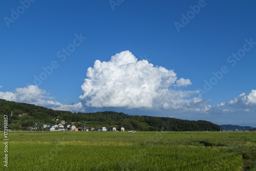 大きな雲と空と畑