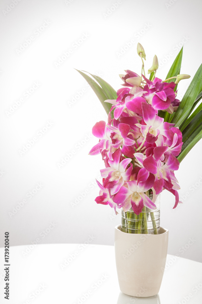 Thailand Orchid. Thailand Orchid.
