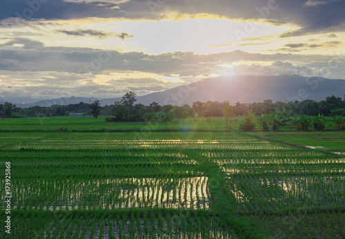 Sunset at cultivated land in the countryside on a summer evening with cloudy sky background and river. Procurement of food for animals. Combined field. Landscape.