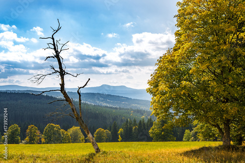 Blick zum Grossen und kleinen Rachel im Herbst, Bayerischer Wald photo