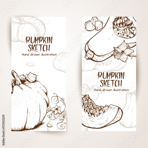Pumpkin vector drawing set.