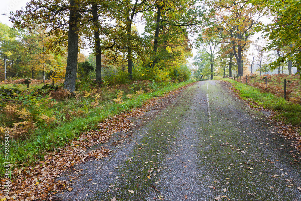 Country road Country road