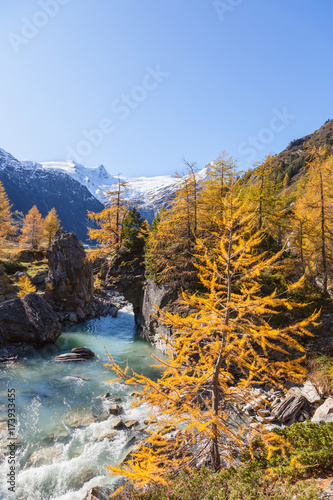 River in alp landscape at autumn