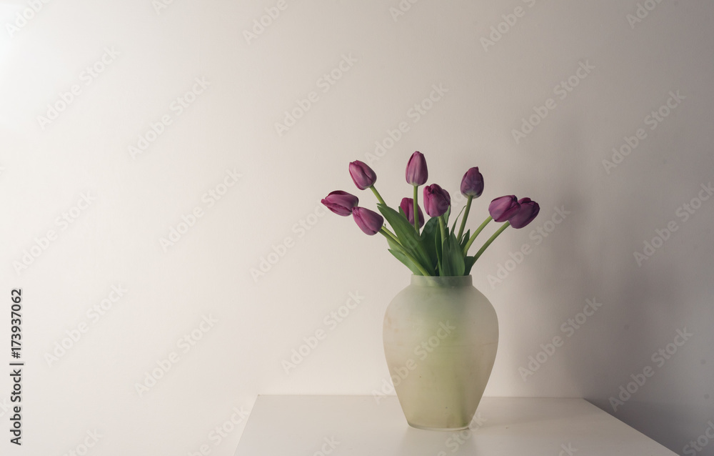 Purple tulips in glass vase on white table against neutral wall in moody light