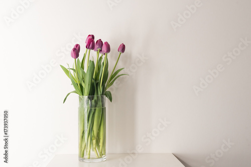 Purple tulips in tall glass vase on white table against neutral background with copy space