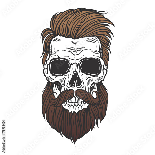 Bearded skull illustration