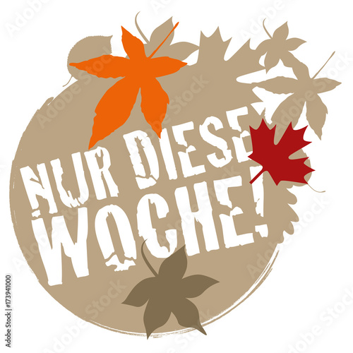 Herbstangeobte - Nur diese Woche 