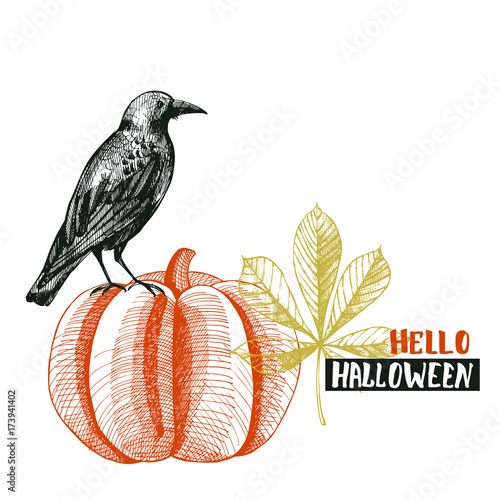 Halloween background with bird and pumpkin.