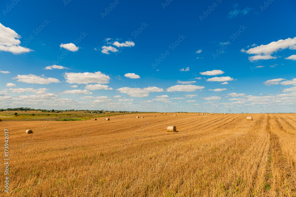 Wheat field after harvest with straw bales at sunset