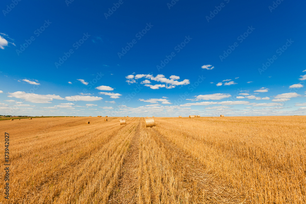 Wheat field after harvest with straw bales at sunset