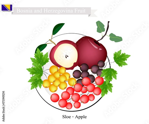 Sloe and Apple, Popular Fruits of Bosnia and Herzegovina