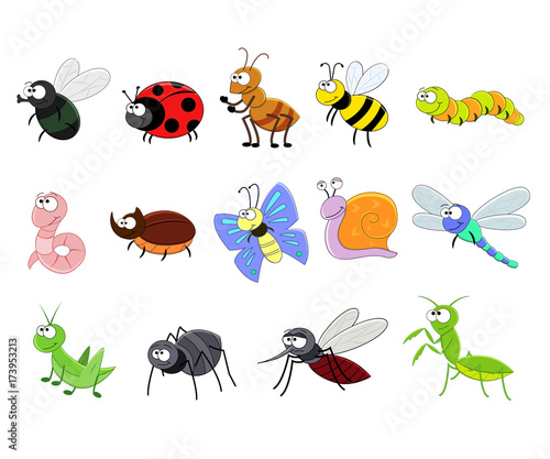Big set of funny cartoon insects. Vector insects. Bee, worm, snail. Butterfly, caterpillar,  spider, mosquito,  ladybug, mantis, dragonfly, fly, rhinoceros beetle, ant. Comic insects © budolga